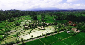 Гостиница De Klumpu Bali Eco Tradi Stay  Bangli Regency